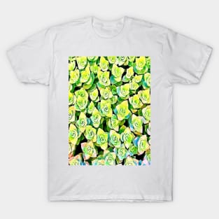 crassula perforata succulents pattern T-Shirt